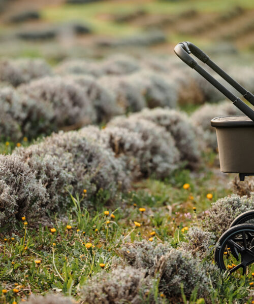 3 Things to Consider Before Buying a Pram